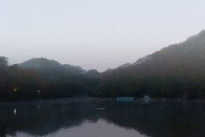 池の周囲の林からも靄があがっている（2016.12.03 06:47）